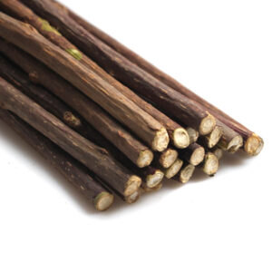 Silvervine Matatabi Chew Sticks for Cat Kitten Kitty