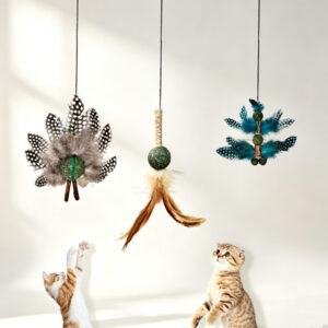 Teaser Toy with Elastic String